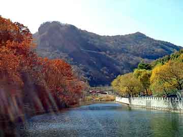 新澳天天开奖资料大全旅游团，吉利远景论坛